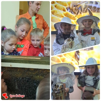 Warsztaty pszczelarskie (3)