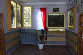 29-113
