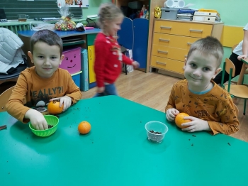 Pomarańcze z goździkami (4)