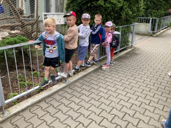 Wycieczka oddziału przedszkolnego do Zoo (4)