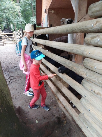 Wycieczka oddziału przedszkolnego do Zoo (8)