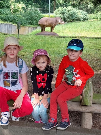 Wycieczka oddziału przedszkolnego do Zoo (11)