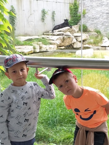 Wycieczka oddziału przedszkolnego do Zoo (40)