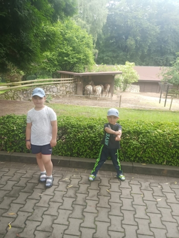 Wycieczka oddziału przedszkolnego do Zoo (45)