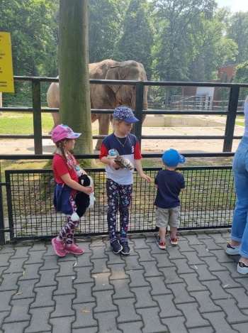 Wycieczka oddziału przedszkolnego do Zoo (49)