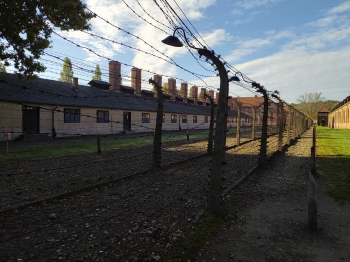 Wycieczka klasy VIII do Auschwitz-Birkenau (2)