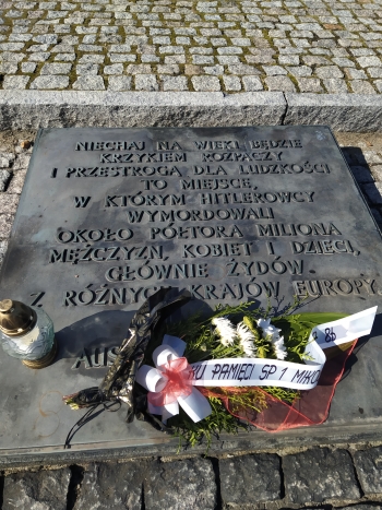 Wycieczka klasy VIII do Auschwitz-Birkenau (24)
