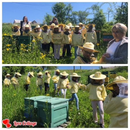 Dzielić się pasją -  wizyta w pasiece...