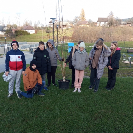 Sadzimy drzewa, które zostawimy przyszłym pokoleniom...