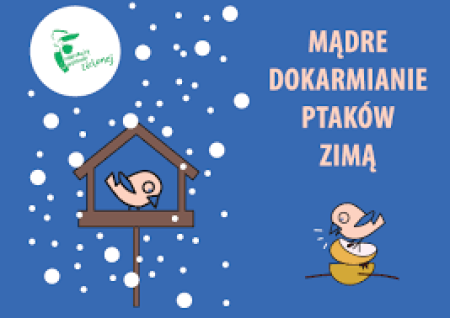 Mądre dokarmianie ptaków...