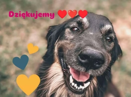  Serdeczne podziękowania dla Darczyńców