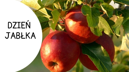 Świętujemy Dzień Jabłka w oddziale przedszkolnym...